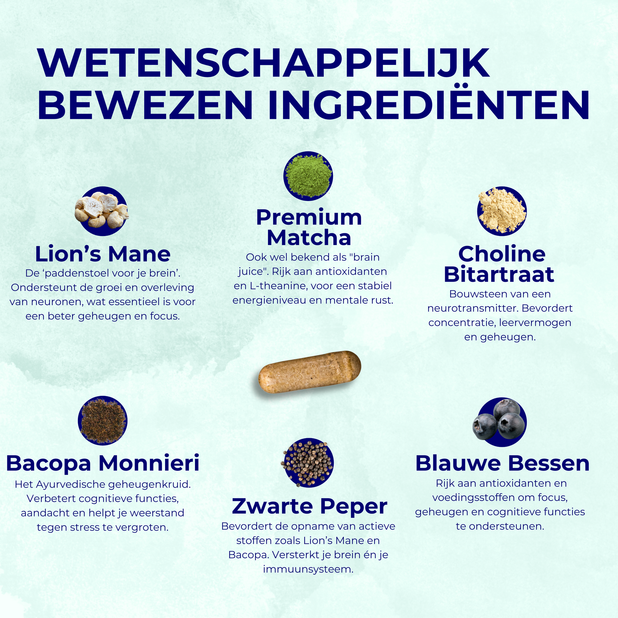 Happy Brain & Sleep Bundel + 4 CADEAUS